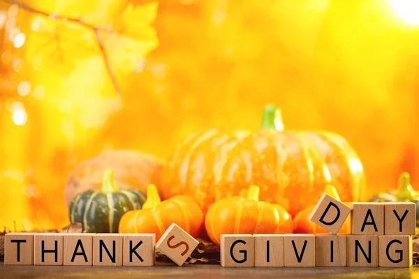 Selective Focus Shot Cubes Happy Thanksgiving Day Writing Background Pumpkins — Stock Photo, Image