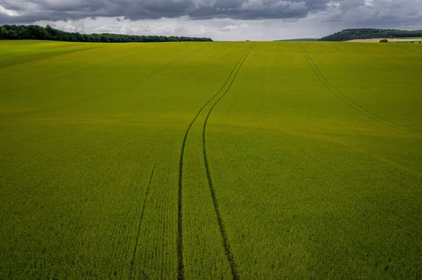 Eine Schöne Grüne Landschaft Mit Einem Tablett Unter Einem Bewölkten — Stockfoto