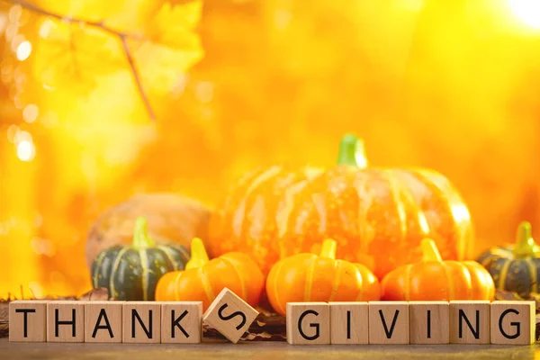 Selective Focus Shot Cubes Happy Thanksgiving Day Writing Background Pumpkins — Stock Photo, Image