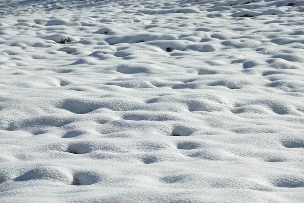 Ένα Όμορφο Χειμερινό Τοπίο Χιονισμένο Πεδίο — Φωτογραφία Αρχείου