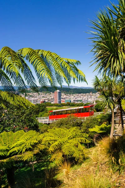 Wellington Nieuw Zealand Feb 2020 Wellington Iconische Kabelbaan Bekeken Vanaf — Stockfoto