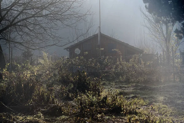 Licht Der Herbstsonne Fand Ich Der Ecke Des Parks Ein — Stockfoto