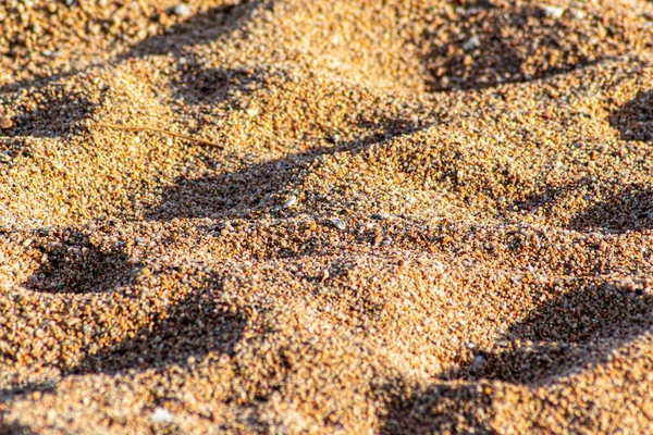 Крупним Планом Золоті Зерна Піску Відкритому Повітрі Під Сонячним Світлом — стокове фото