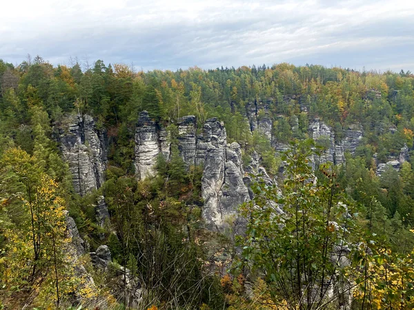 Ein Blick Von Oben Auf Einen Wald Mit Hohen Klippen — Stockfoto