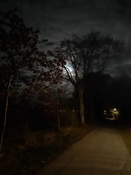 Unheimlicher Weg Nachts Bei Vollmond Gruselig Geisterstunde Unheimlicher Weg Nachts — Fotografia de Stock