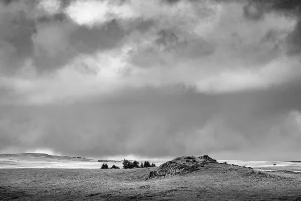 Graustufenaufnahme Einer Landschaft Mit Büschen Unter Dunklen Gewitterwolken — Stockfoto