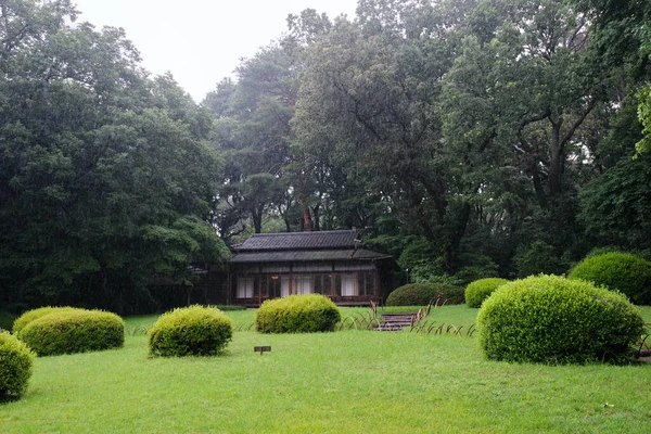 Een Prachtig Uitzicht Het Tuinlandschap Met Een Huisachtergrond — Stockfoto