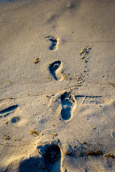 Kumda Ayak Izlerinin Dikey Görüntüsü — Stok fotoğraf