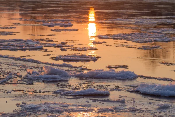 Een Close Shot Van Ijzige Elbe Dresden Bij Zonsondergang — Stockfoto