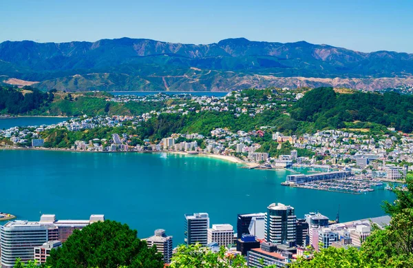 ニュージーランドのウェリントン 2020年2月25日 夏の午後の景色は オリエンタルベイとマウントビクトリアの人気のあるインナーシティビーチに向かって港を横切ります — ストック写真