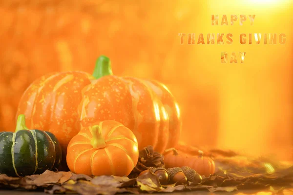 Selective Focus Shot Pumpkins Autumn Leaves Happy Thanksgiving Day Writing —  Fotos de Stock