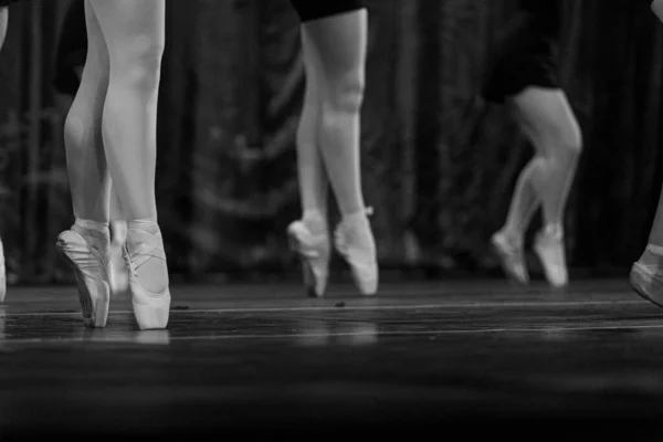 Grayscale Closeup Shot Ballet Performers Stage —  Fotos de Stock