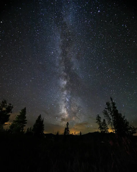 Mesmerizing Shot Milky Way Starry Sky Forest — Stock Photo, Image