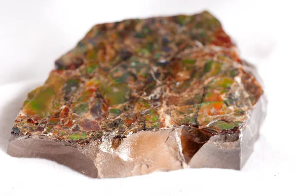 Vzorek Amonitu Barevné Křišťálové Fosilní Části — Stock fotografie