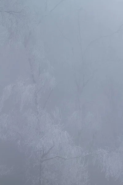 冰冻湖水的垂直拍 — 图库照片