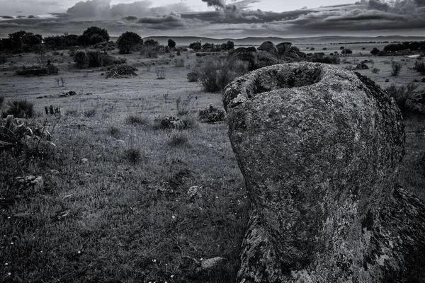 Grayscale Closeup Granite Rock Malpartida Caceres Extremadura Spain — Stock Photo, Image