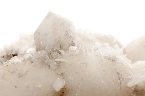 Eine Große Stichprobe Von Stelzenbissen Mit Kalzium Und Pyrit — Stockfoto