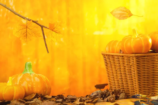 Een Selectieve Focus Shot Van Mand Met Pompoenen Herfstbladeren Thanksgiving — Stockfoto