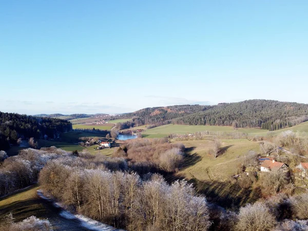 Una Toma Aérea Los Árboles Del Bosque Con Unos Pocos — Foto de Stock