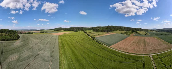 Colpo Panoramico Campi Verdi Freschi Sotto Cielo Blu Con Nuvole — Foto Stock