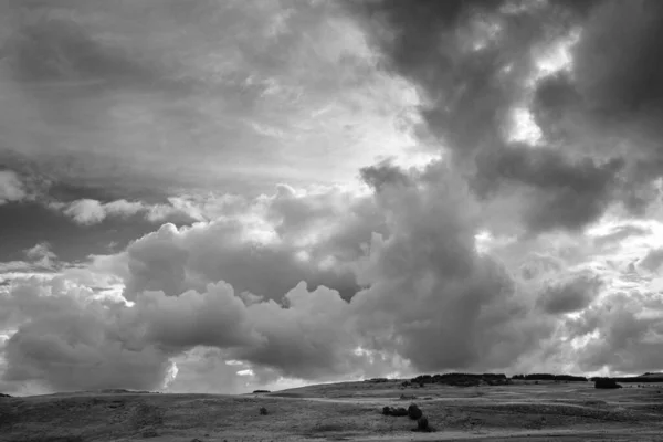 Uma Imagem Tons Cinza Uma Paisagem Com Arbustos Sob Nuvens — Fotografia de Stock