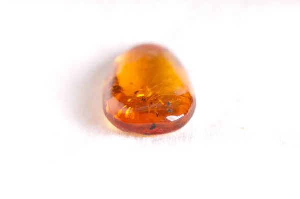 Amber Insect Fossillized Crystal Science — Stock Photo, Image