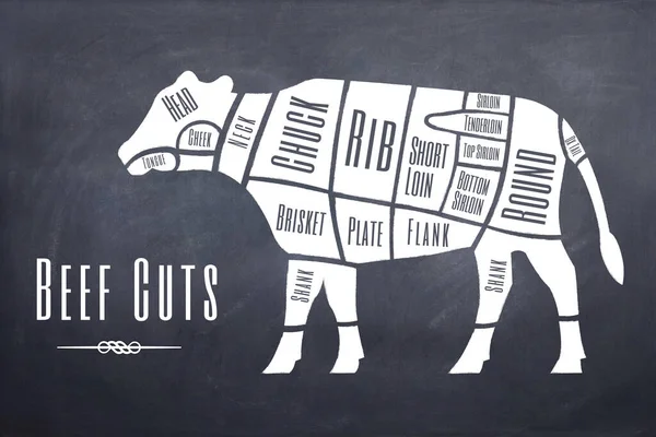 Illustration Explaining Schematically Different Parts Cuts Beef Meat — Stock Photo, Image