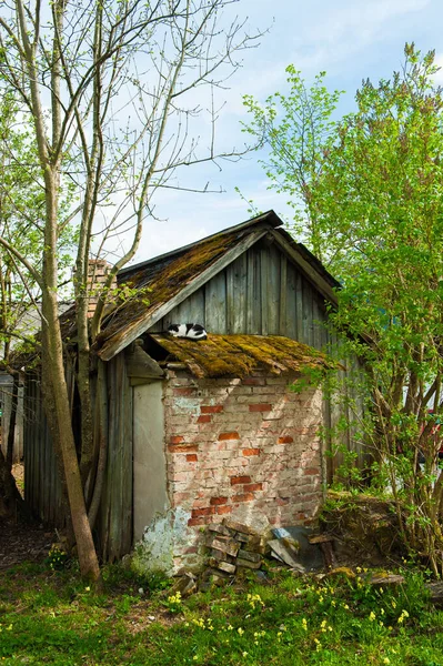 Pionowe Ujęcie Małego Wiejskiego Domu Cegieł Ogrodzie Piękny Poranek — Zdjęcie stockowe