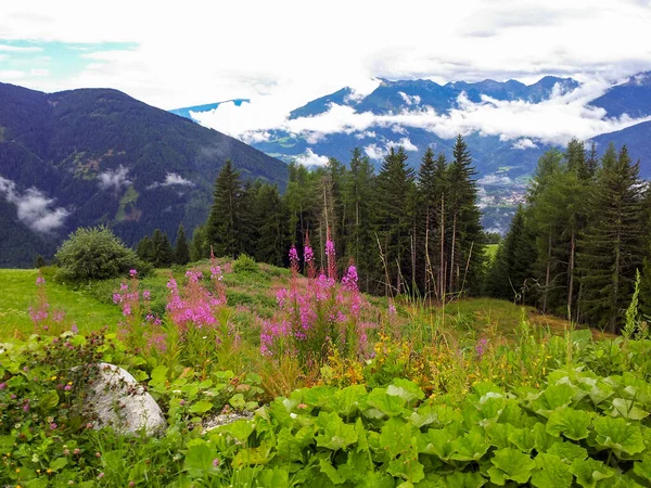 Aussichtsreiche Aussicht Von Lüsen Südtirol — Stockfoto