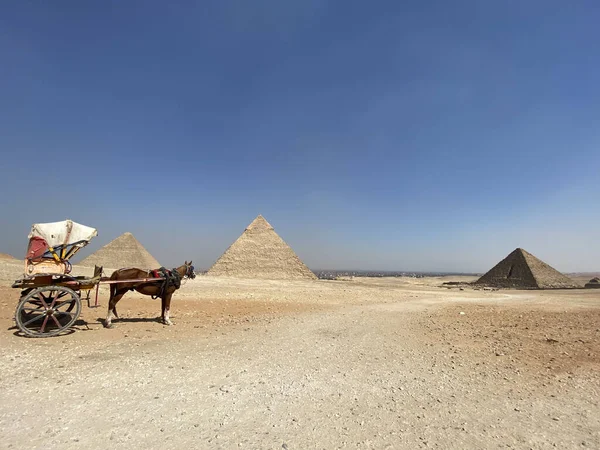 Prázdný Cestovní Kočár Blízko Egyptských Pyramid Pod Jasnou Modrou Oblohou — Stock fotografie