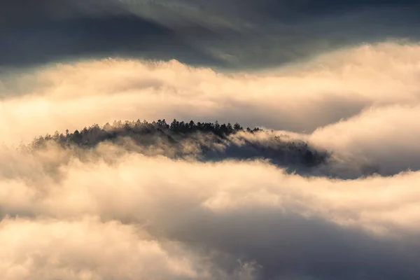 Bel Colpo Fitta Nebbia Sulle Montagne Della Foresta Nera Germania — Foto Stock