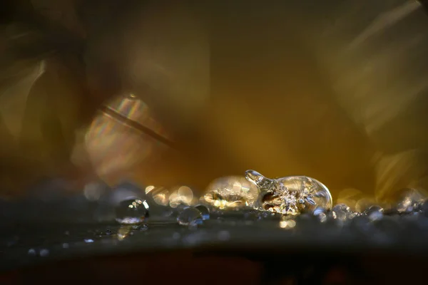 Een Close Shot Van Water Druppels Grond Met Een Wazige — Stockfoto