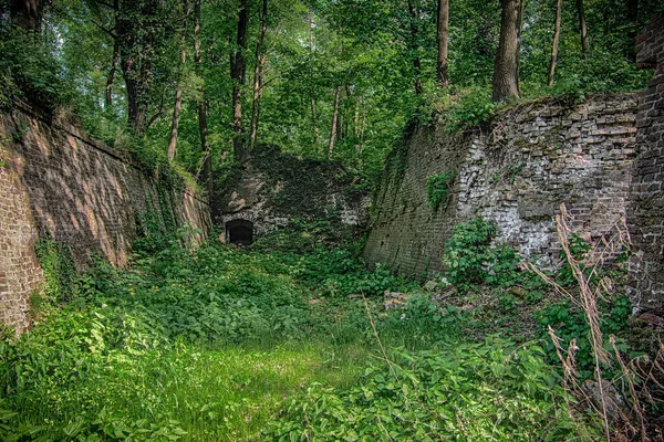 Jardin Couvert Verdure Entouré Par Les Murs Vieux Bâtiment Ruine — Photo