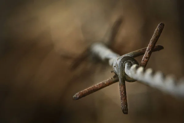 Closeup Shot Rusty Barbed Wire Blurred Background — Stock Photo, Image