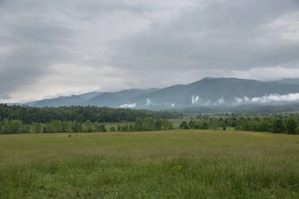 Uitzicht Bergen Bomen Grasland Het Cades Cove Park Het Tennessee — Stockfoto