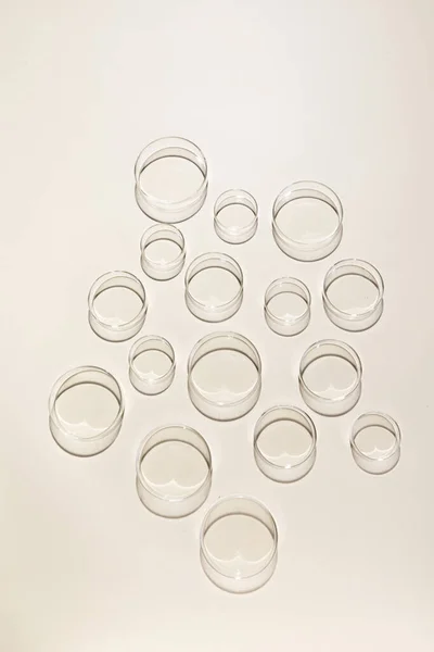 Una Toma Vertical Placa Petri Vidrio Sobre Fondo Rosa Liso — Foto de Stock