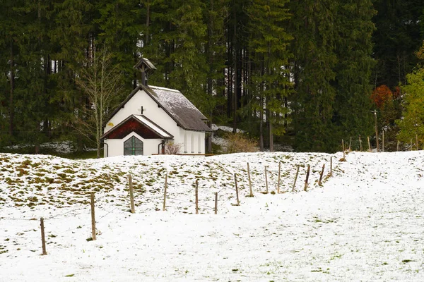 Ett Hus Nära Skog Vinterdag Tyska — Stockfoto