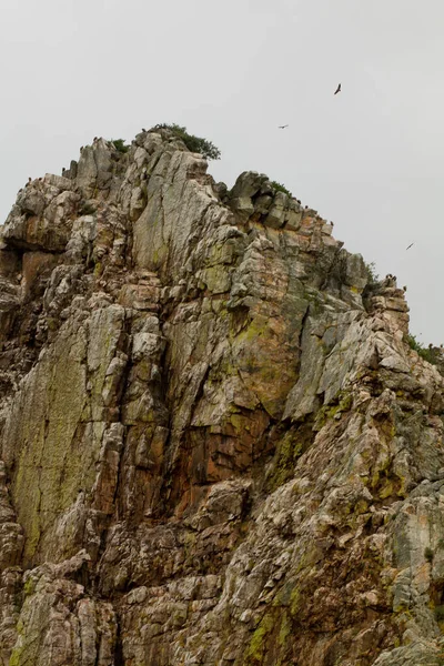 スペインのモンフラグ国立公園の垂直ショット 樹皮や鳥が飛び回る高い岩 — ストック写真