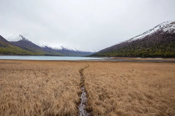 알래스카 호수의 매혹적 눈덮인 과수로 잔디밭의 — 스톡 사진