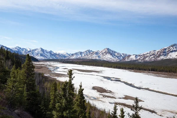 Завораживающий Пейзаж Денали Национальный Парк Аляска — стоковое фото