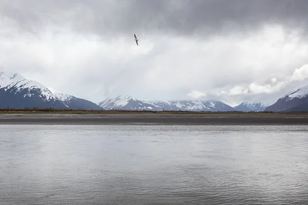 Belo Tiro Turnagain Arm Alasca — Fotografia de Stock