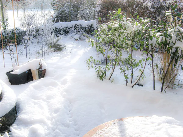Солнечный Зимний День Свежим Снегом Отпечатками Ног Саду Парком Заднем — стоковое фото