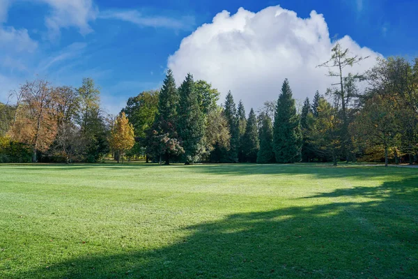 Een Opname Van Een Veld Onder Wolk — Stockfoto