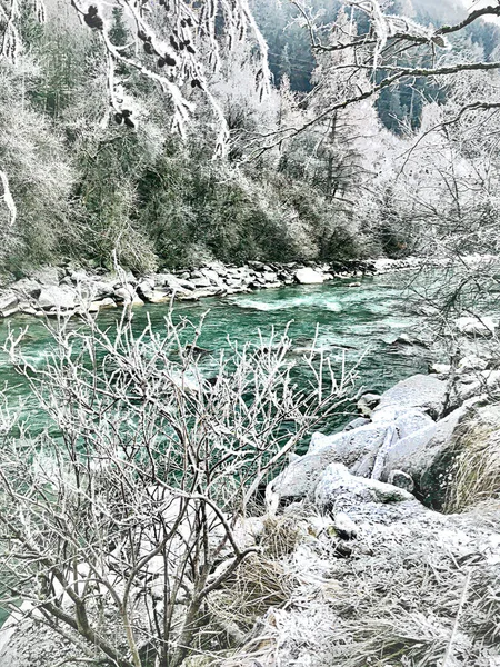 Plan Vertical Une Rivière Arbres Couverts Neige Profonde — Photo