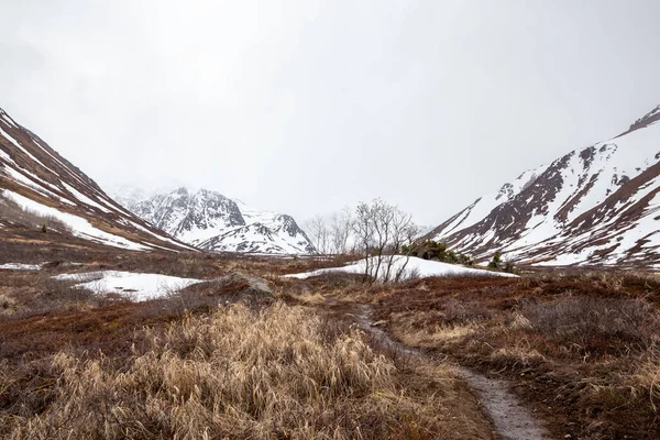 阿拉斯加Chugach州立公园一条雪山林立的远足小径的迷人镜头 — 图库照片