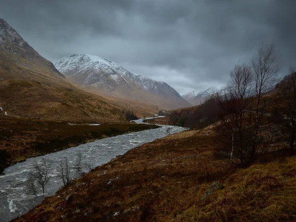 Imagen Bosque Con Stob Dearg Montaña Fondo Ambiente Nevado Invierno — Foto de Stock