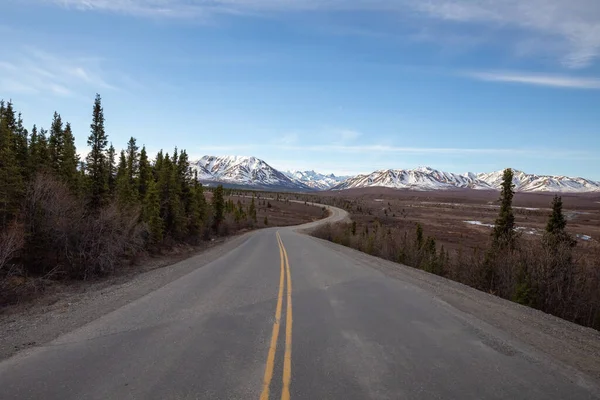 Piękny Widok Pustą Drogę Denali Park Narodowy Alaska Śnieżnymi Górami — Zdjęcie stockowe