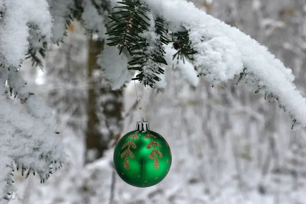 森の中のモミの緑のクリスマスボール — ストック写真