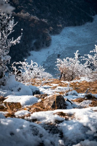 岩石和树木的顶部景观 被冰雪覆盖的森林 — 图库照片