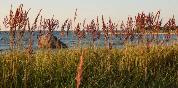 Een Prachtig Horizontaal Shot Van Oever Van Het Meer — Stockfoto